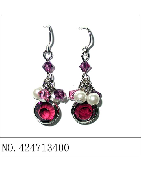 Earrings Purple