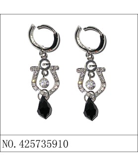 Earrings Black