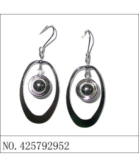 Earrings White Gold