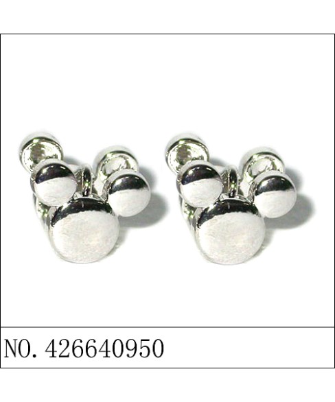 Earrings White Gold