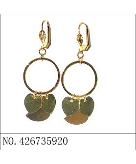 Earrings Gold