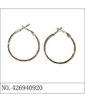 Earrings Gold