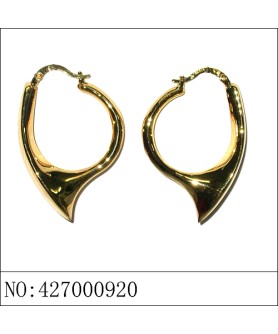 Earrings Gold