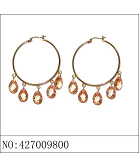 Earrings Brown