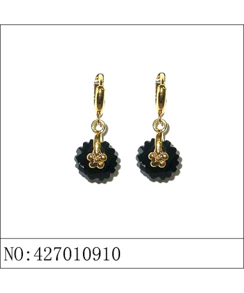 Earrings Black