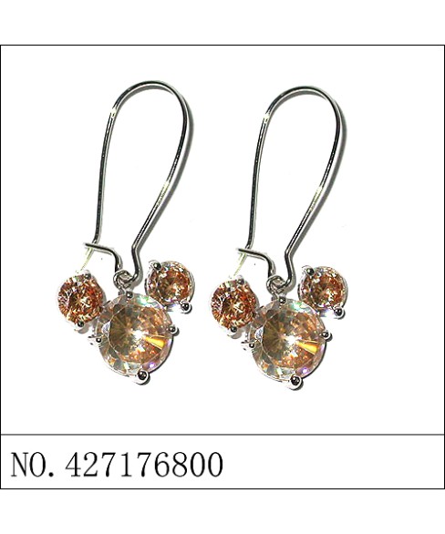 Earrings Brown