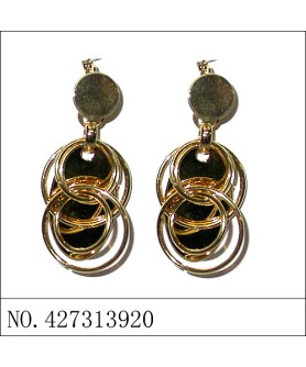 Earrings Gold