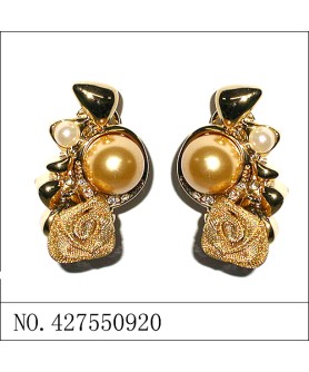 Earrings Gold