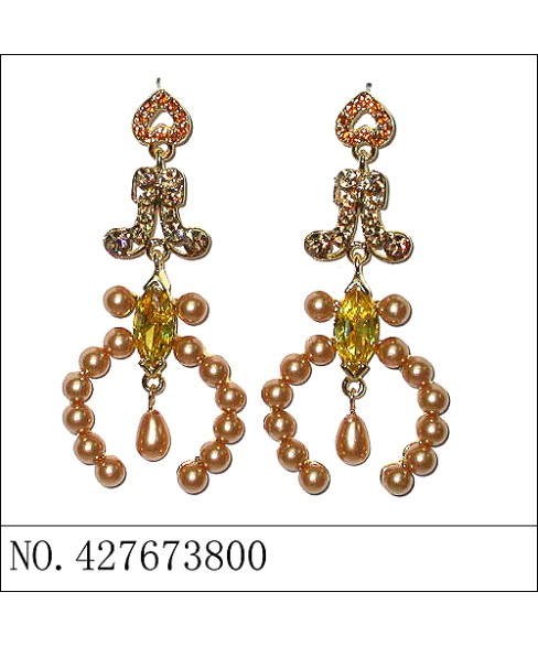 Earrings Brown