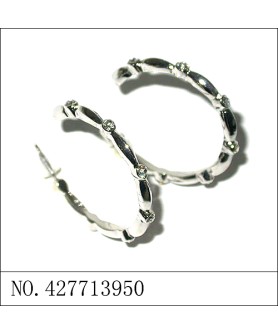 Earrings White Gold