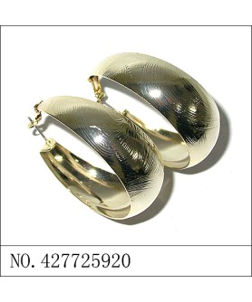 Earrings Gold