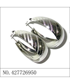 Earrings White Gold