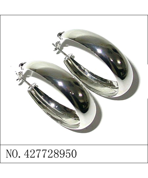 Earrings White Gold