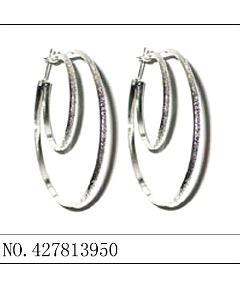 Earrings White Gold