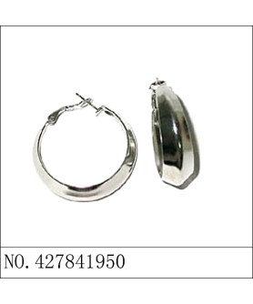 Earrings White Gold