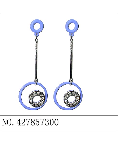 Earrings Blue