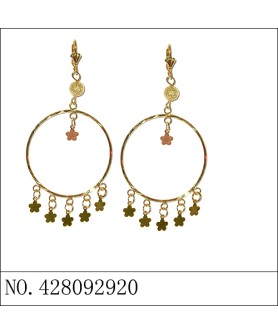 Earrings Gold