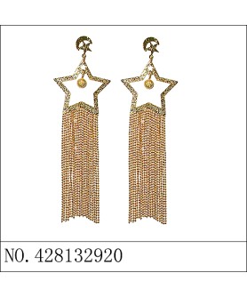 Earrings Gold