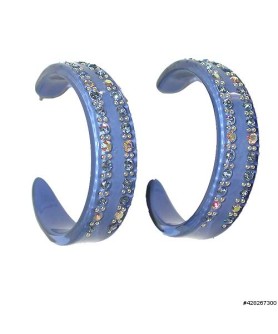 Earrings Blue