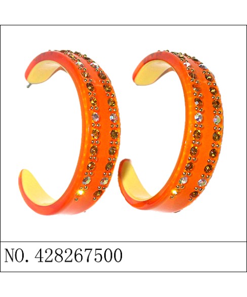 Earrings Orange