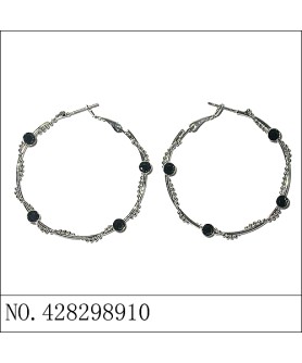 Earrings Black