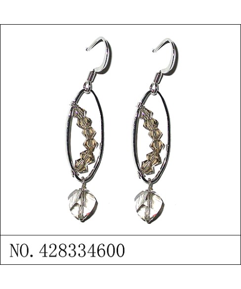 Earrings Gray