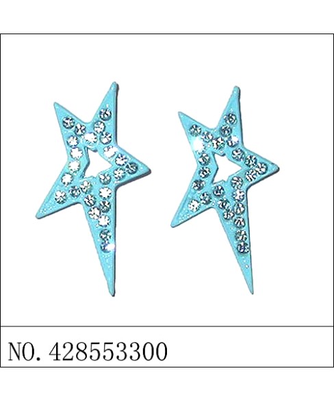 Earrings Blue