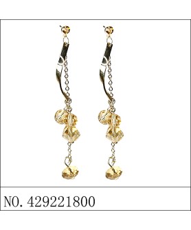 Earrings Brown