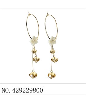 Earrings Brown