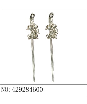 Earrings Gray