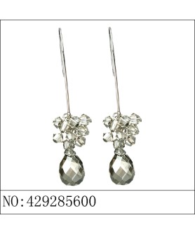 Earrings Gray