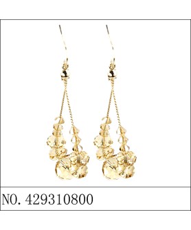 Earrings Brown