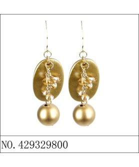 Earrings Brown 429329800