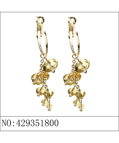 Earrings Brown