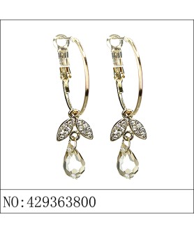 Earrings Brown