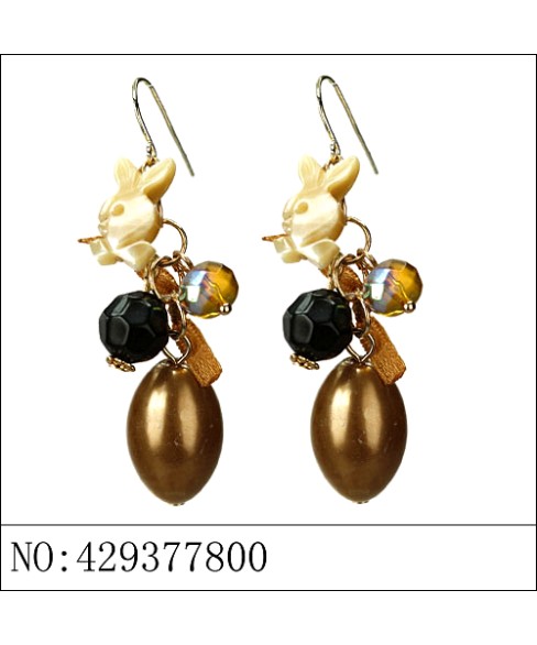 Earrings Brown