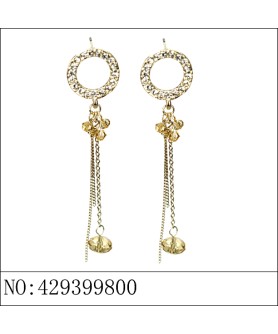 Earrings Brown