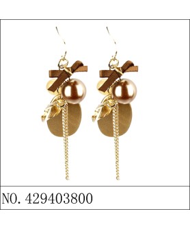 Earrings Brown