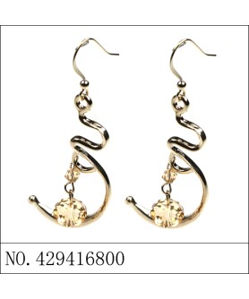 Earrings Brown