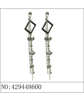 Earrings Gray