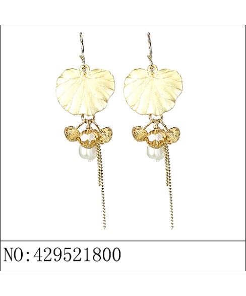 Earrings Brown