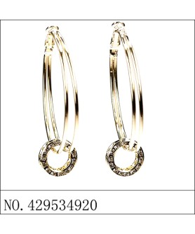 Earrings Gold