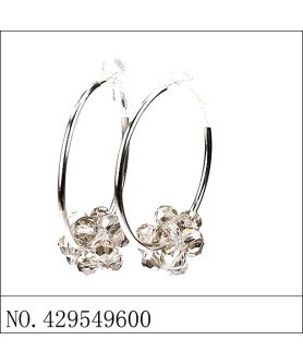 Earrings Gray