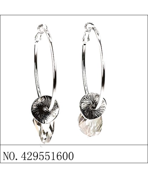 Earrings Gray