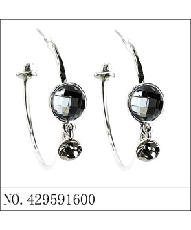 Earrings Gray