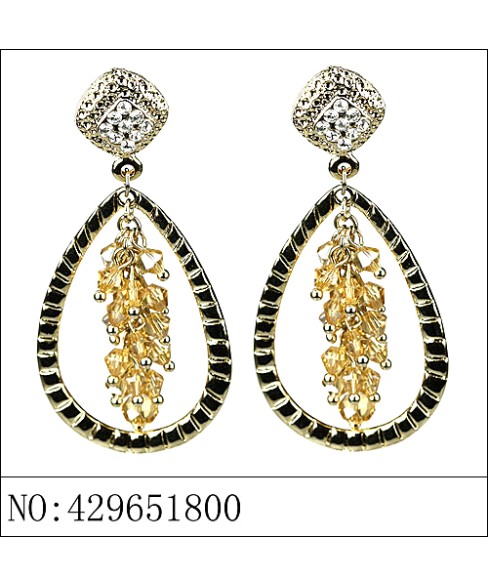 Earrings Brown