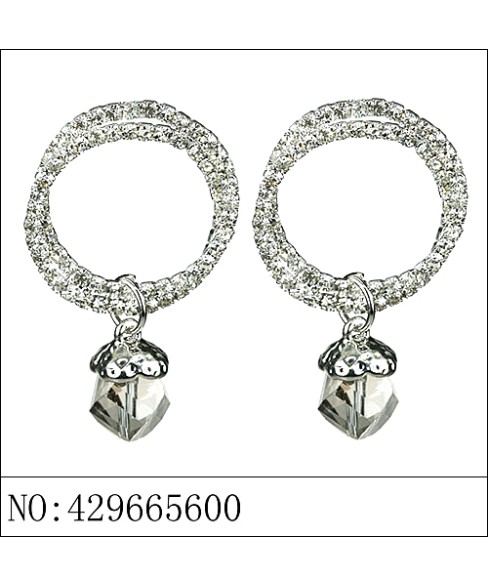 Earrings Gray