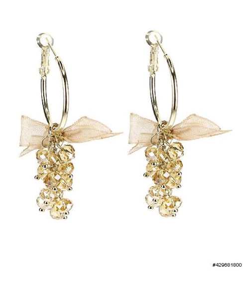 Earrings Brown