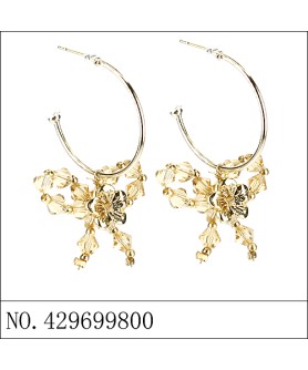 Earrings Brown