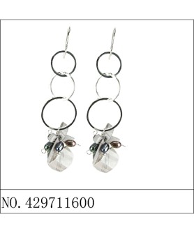 Earrings Gray